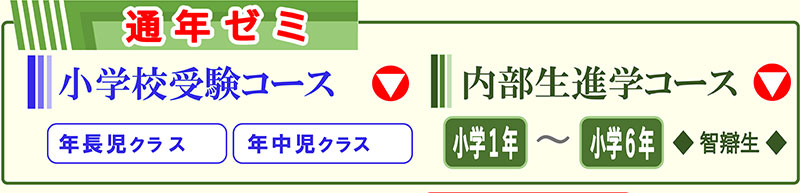 2025年度（令和7年度）通年ゼミ 智辯学園和歌山小学校 小学校受験コース 内部生進学コース